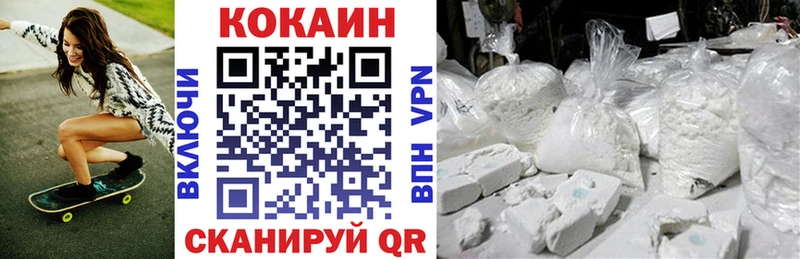 Купить закладки  Инза  Cocaine Fish Scale 