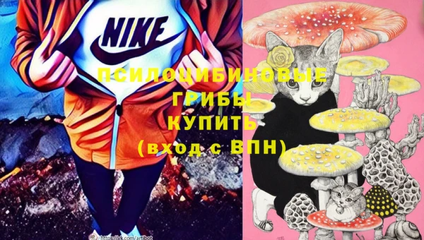 экстази Каменногорск