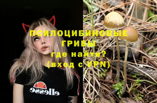 mdma Каменка