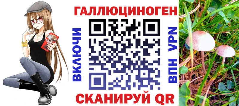 Галлюциногенные грибы Psilocybine cubensis  Купить где  Инза 